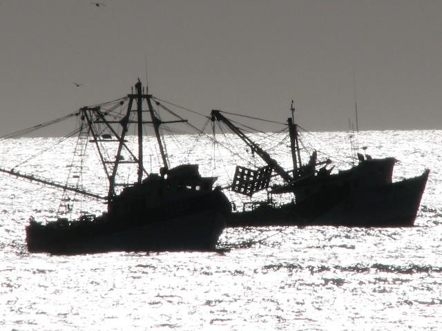 Shrimp boats anchored in silouette at Campo Uno