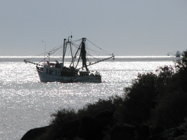 More shrimp boats in Campo Uno