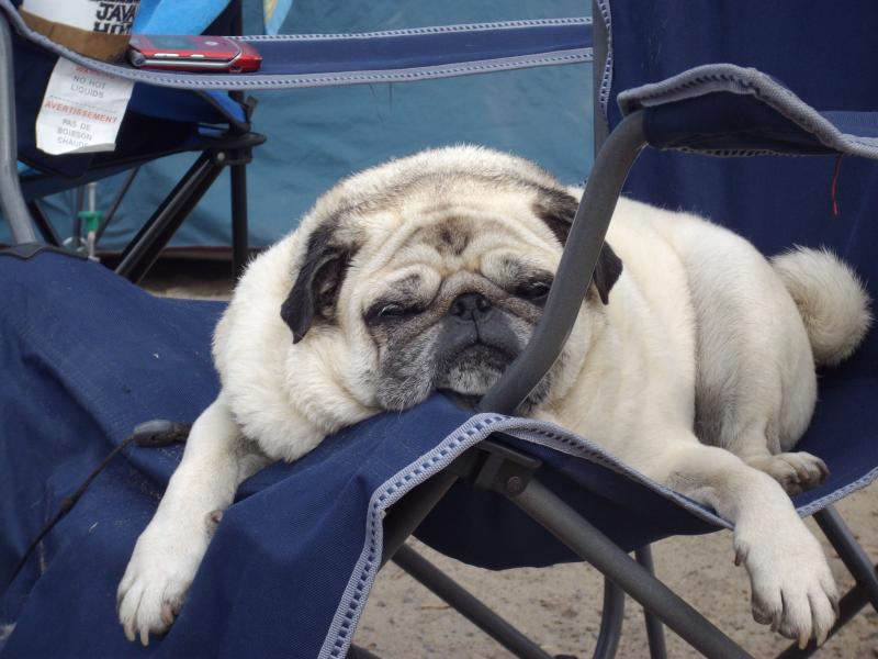 Ray Ray camping in Encinitas
