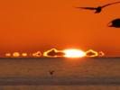 First sunrise in San Felipe 2010 by Jackie Devereaux