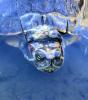 Sea Turtle swimming nearby in the Pacific Ocean